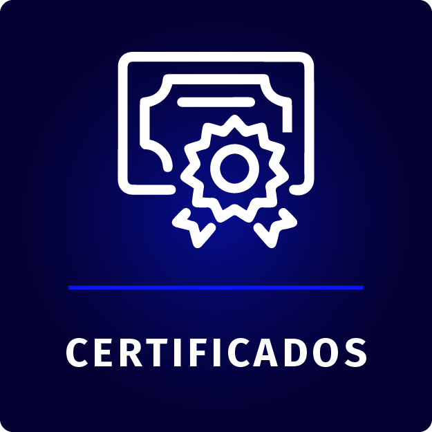 Opción personalizada